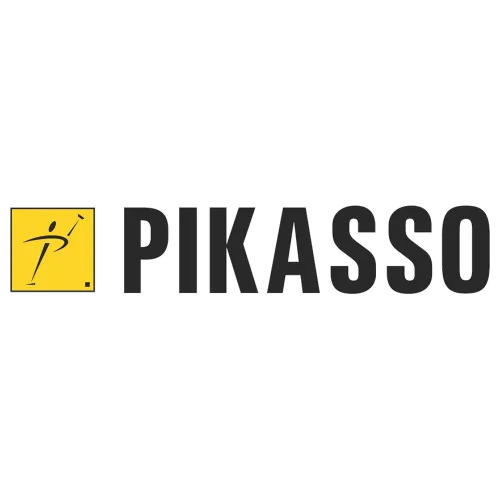 2-Pikasso